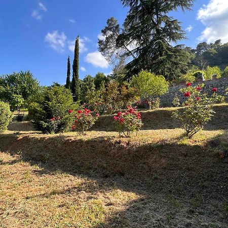 Borgo Al Canto Degli Alberi Λούκα Εξωτερικό φωτογραφία