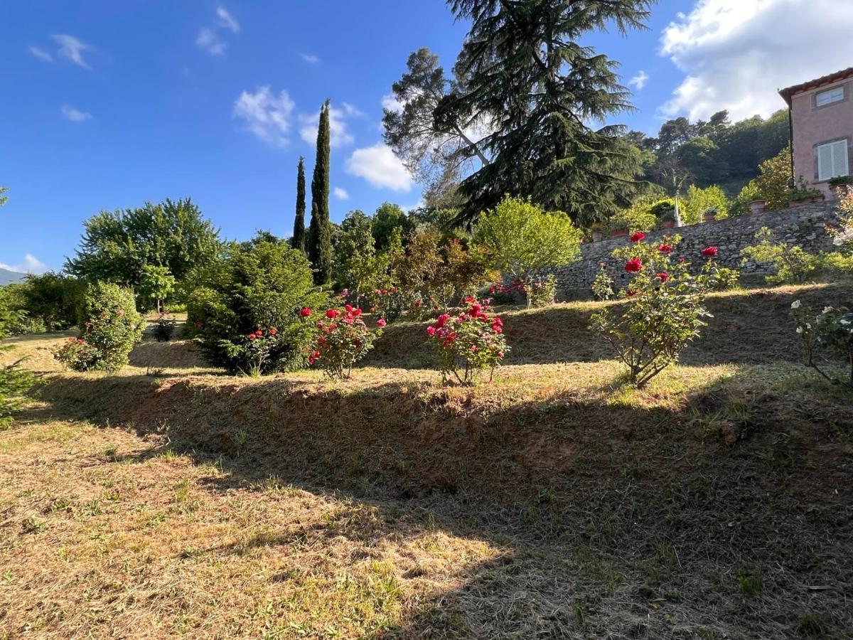 Borgo Al Canto Degli Alberi Λούκα Εξωτερικό φωτογραφία