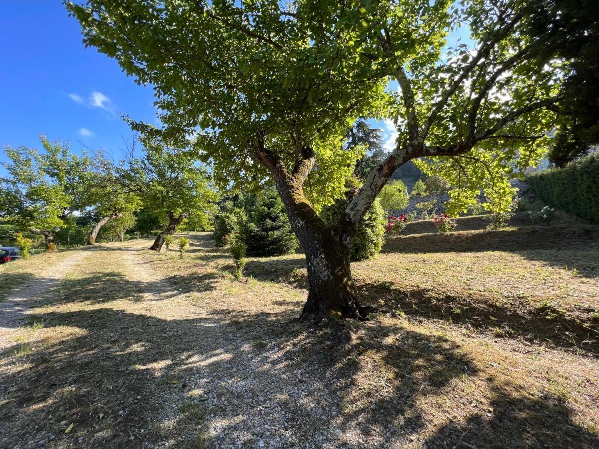 Borgo Al Canto Degli Alberi Λούκα Εξωτερικό φωτογραφία